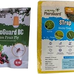 BC Bactrocera Cucurbitae Lure | Melon Fruit Fly Control for Agriculture Pack of 5 | & | 8 x 12 cm Yellow Sticky Trap Pack of 10 Sheets Garden Agriculture Control-image-58