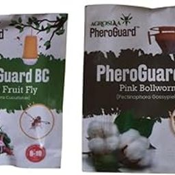 BC Bactrocera Cucurbitae Lure | Melon Fruit Fly Control for Agriculture Pack of 5 | & | PG Pink Bollworm Lure - Pectinophora Gossypiella | Agriculture Use | Pack of 5-image-3
