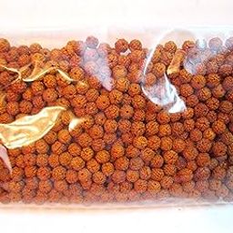 Shiv Shankar Accessories 5 Mukhi Rudraksha Rudraksh Loose 4 mm Beads Yoga Meditation Wholesale Lot of 111-image-44