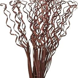 Craftwaft Brown Handmade Spiral Long Handmade Sticks Floral Bunches Dry Flower Stick-image-12