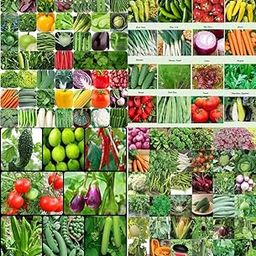 Vegetable seeds for summer beez Exotic Hybrid vegetable seeds Mix organic vegetable seeds 100-image-19