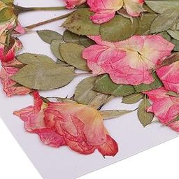 LOOM TREE® 10 Pieces Multiple Pressed Flowers, Rose Buds with Leaves, Real Pressed Dried Flowers for Handmade Scrapboking Wedding Card DIY Resin Jewelry Craft Floral Art Decor-image-29