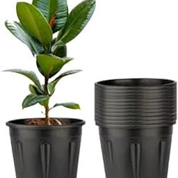 Tim Tim Agro 8 Inch Nursery Pots, 15 Packs Variety Plastic Pots with Drainage Hole, Plant Containers for Seedlings, Succulents, Transplanting (8 Inch, Black-Round) (Black - Round)-image-2