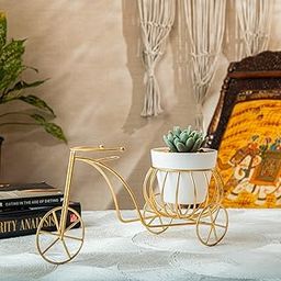 Famia Home Vintage Victorian Cycle Shape Flower Vase for Home Decor, Living Room Corner Decorative, Bedroom, Center Table, Office Decoration Gift Items - Without Flowers (30 x 14 x 18 cm)-image-92