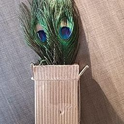 15 Piece,Big Size Peacock Feather (mor pankh Orignal), AMR Pure Harvest-image-37