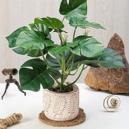 SATYAM KRAFT 1 Pc Artificial Monstera Plant with Vase for Home Decoration | Indoor & Outdoor Décor | Table, Shelf, Balcony, Office, Living Room, Bedroom, Bathroom, Kitchen | Wedding Decors.-image-16