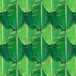S2S Polycotton Banana Leaf Curtain For Decoration Backdrop Cloth For Pooja Decoration Traditional Background For All Festival Decoration For Home (Pack Of 1), Semi Sheer, Pencil pleat curtains, Green-31