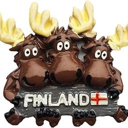 TC The Customizers Set of 1 Finland Pattern Printed Fridge Magnet | Magnet for Fridge Decoration | Fridge Magnets Refrigerator Stylish Set Kitchen | Funny Fridge Magnets-image-1