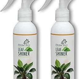 DIVINE TREE Leaf Shiner Spray for Plants - Natural Beauty with a Long-Lasting Shine - Helps clean off Dust & Leaf Glow - Instant Leaf Shine & Protection for Indoor Plants (400ml)-image-38