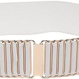 Women's Retro Stretchy Metal Buckle Skinny | Ladies Waist Belts for Fancy Girls| Women Saree| Western Dress| Long Gown| Traditional Dresses | T_BT_W_30_31_32-picture-9