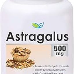 Astragalus 500 mg, 60 Veg Capsules, Dietary supplement to strengthen Immune System, nutritional supplement, multivitamins, vitamin for men, women and adults, health supplements-image-58