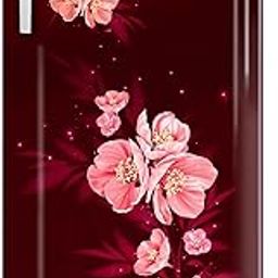 Godrej 180 L 5 Star Turbo Cooling Technology, 24 Days Farm Freshness Direct Cool Single Door Refrigerator (RD EDGENEO 207E THF MP WN, Maple Wine)-59
