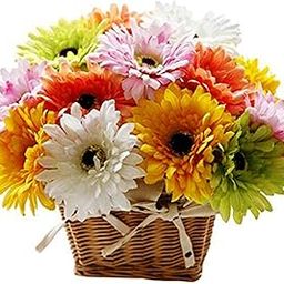 The FloralMart® Premium Basket of 12 Mixed Gerberas Fresh Flowers || Bunch of 12 (Multicolour)-image-28