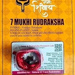 7 Mukhi Certified Natural Rudraksha Bead from Nepal with Silver Capping Lab Tested Original Rudraksh for Men & Women Spiritual Healing Wood Bead-picture-1