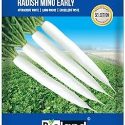 BIOLAND Radish Mino Early Seeds for Sowing Purpose for Home/Kitchen Garden-image-13