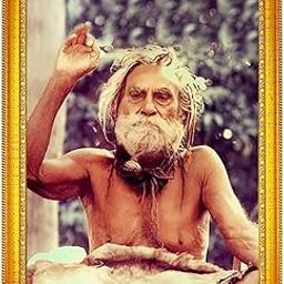 Think Tech Devraha Baba Golden Colour Photo Frame-image-27
