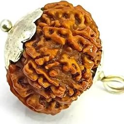 SreeGems 11 Mukhi Rudraksha Original Certified 11 Face Rudraksha With Silver Capping Gyarah Mukhi Rudraksha 11 मुखी रुद्राक्ष 11 Mukhi Rudraksha Nepali Eleven Mukhi Rudraksha Blessed By Lord Hanuman 11 Mukhi Rudraksha Pendant-picture-8