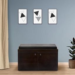 Green Soul Fortuna | Engineered Wood Shoe Rack for Home with Cushioned Seating | 3 Shelves, 2 Doors | Store Upto 14 Pair of Shoes | 3 Year Warranty (Wenge) | Installation Provided-25