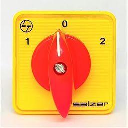 Salzer(L&T) 61030 6A 6Pole 2Way S6 10A Cam Operated Rotary Switch-image-61