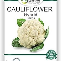 Navika Seeds Hybrid Vegetable Seeds. Free E Book for Kitchen Garden, Backyard Gardening, Home Gardening & Planting included. (Cauliflower)-image-7