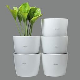 GREENON® 10 Inch Plant Pot Pack of 5 (10 Pots) Self Watering | White Outer and Black Inner Flower Pot | UnFadable | Suitable for Indoor and Balcony Plants | Low Maintenance Gamla-image-42