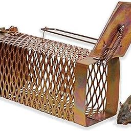 Small Size Rat/Rodent/Mouse cage Trap (chuha chuhe ka pinjra) Size 22x9x9 (Small Pack of 1)-image-48