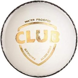 SG Club Leather Ball, Four Pitch (White) Standard Size-picture-13