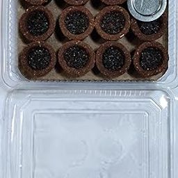 Organic Havan Cups Sambrani Dhoop Cups with Cow Dung and Guggal/Loban, Jumbo Size, 24 Pieces Cup, for Pooja and Festivals, Pack of 2 (12 Cups/Pack + 1 Burner Plate/Pack)-image-76