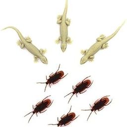 Real Looking House Gecko Rubber Lizard and Cockroach Toy - (Pack of 8)-picture-16