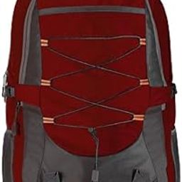 large Laptop Backpack Unisex Spacy Fits Upto 16.5 Inches/College Bag/School Bag-image-97