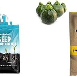 TrustBasket Seed Germination Mix - 5 KG (Pack of 4)&Premium Vegetable Summer Squash - Chappn Kaddu Seeds(Hybrid)-image-12