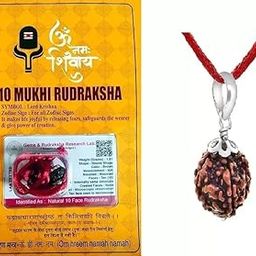 10 Mukhi Rudraksha Pendant with Silver Cap, Natural Lab-Certified Sacred Bead, Red Thread Necklace-picture-37