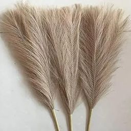 SATYAM KRAFT 3 Pcs Artificial Flowers Faux Pampas Grass Small Fluffy Fake Flower Plant for Home Decor, Office, Bedroom, Living Room, Table Decoration, Items Corner, Dried Plants (Without Vase Pot)-16