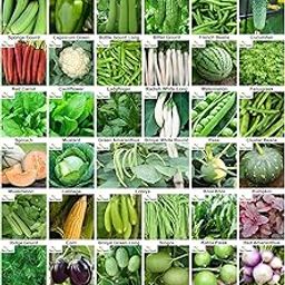 Aero Seeds Combo of 45 varieties vegetable seeds with instruction manual.-25