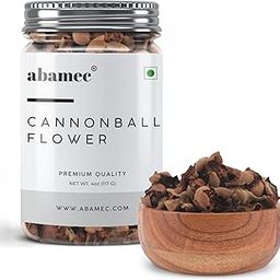 ABAMEC Dry Nagalinga Poovu | Cannonball Tree Flower | Nagalinkam | Naga Poovu – Sacred and Aromatic Flower for Spiritual and Decorative Use (Bottle of (340 Grams / 12 Oz))-image-96