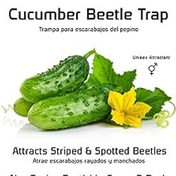 VivaTrap VT-103 Cucumber Beetle Trap and Lure (Pack of 2)-image-47