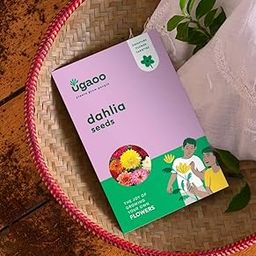 UGAOO Dahlia Flower Seeds (Multicolour, Pack of 100)-image-27