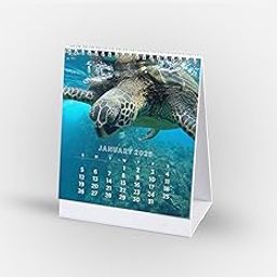 Visual Creation Desk Calendar 2025 - Ocean Series calendar for Office Home Table Couple (Under Water)-image-74