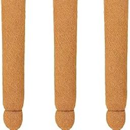 Growtide Coir Moss Stick/cocopole for Climbing Indoor and Outdoor Money Plants Garden pots Multicolour Creeper Support/Moss Stick (2Feet -Pack1, 1, Piece)-image-11