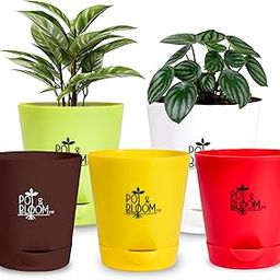 Pot and Bloom 4-Inch Self-Watering Pots, Set of 5, White, Red, Green, Yellow, Brown-image-58