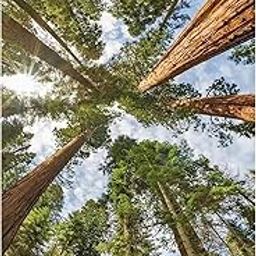 hyzsj DIY 5D Diamond Painting Kits Large Green Tree for Adults Crystal Rhinestone Painting Home Wall Decor (27.4 x 15.7 inch)-image-33