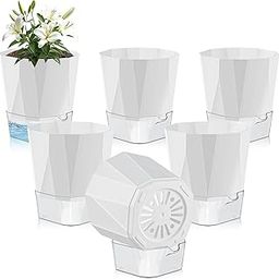Raiz Self-Watering Pot Combo of 6 for Indoor Plants Best Flower Pots & Planters for Home Decor, Living Room, Kitchen, Bedroom, Table Top, Office| Plants not Included (White)-image-93