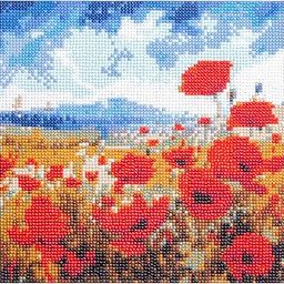 Itsy Bitsy DIY 5D Diamond Painting Kit Poppy Garden 30 X 30CM 1pc | Art & Craft, Creative, Fun & Activity Kit | Gift for Kids, Adult-image-6