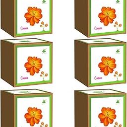 Sow and Grow Seed Starter Grow Kit of Cosmos : Pack of 6 Kits for Gifting || DIY Easy Grow it Yourself Gardening Kit for Home and Garden || A Complete Beginner Gardeners Gardening Set-image-91