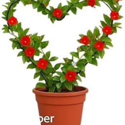 sAtimE Black Metal Plant Trellis – Heart-Shaped Iron Vine Support Rack for Climbing Plants | Decorative Indoor Garden Trellis for Potted Plants & Flowers | Vertical Plant Holder (1 Piece)-image-96