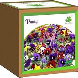 Sow and Grow Seed Starter Grow Kit of Pansy Flower || for temperatures 15-25 Degrees || DIY Easy Grow it Yourself Gardening Kit for Home and Garden || A Complete Beginner Gardeners Set-image-77