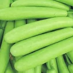Hybrid Lauki Giha Vegetable Bottle Gourd Seeds 30 Beej KH477-image-24