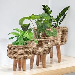 MAAZ Collections Handmade Jute Rope Planters, Durable Plant Container, Gamla/Flower Pot for Indoor Decor, Set of 3 (Large) (Natural)-image-21
