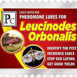 Pheromone Lure for Leucinodes orbanalis (Brinjal Fruit and shoot borer)-25pack-image-24