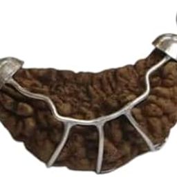 The Millennium Gallery One Face Rudraksha Original From Nepal Auspicious 1 Mukhi Kaju Dana Rudraksha Certified By IGL Lab Pure Ekamukhi Brown Bead Blessed By Lord Shiva For Wearing-image-93